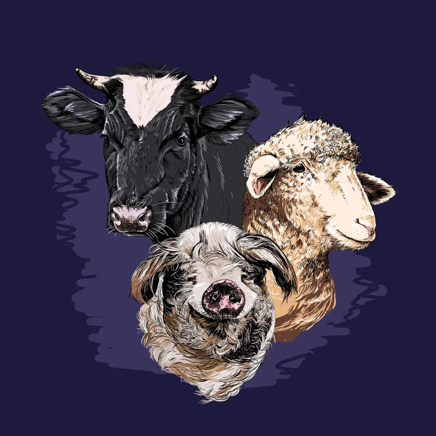 Illustrationen von einer Kuh, einem Schaf und einem Schwein.