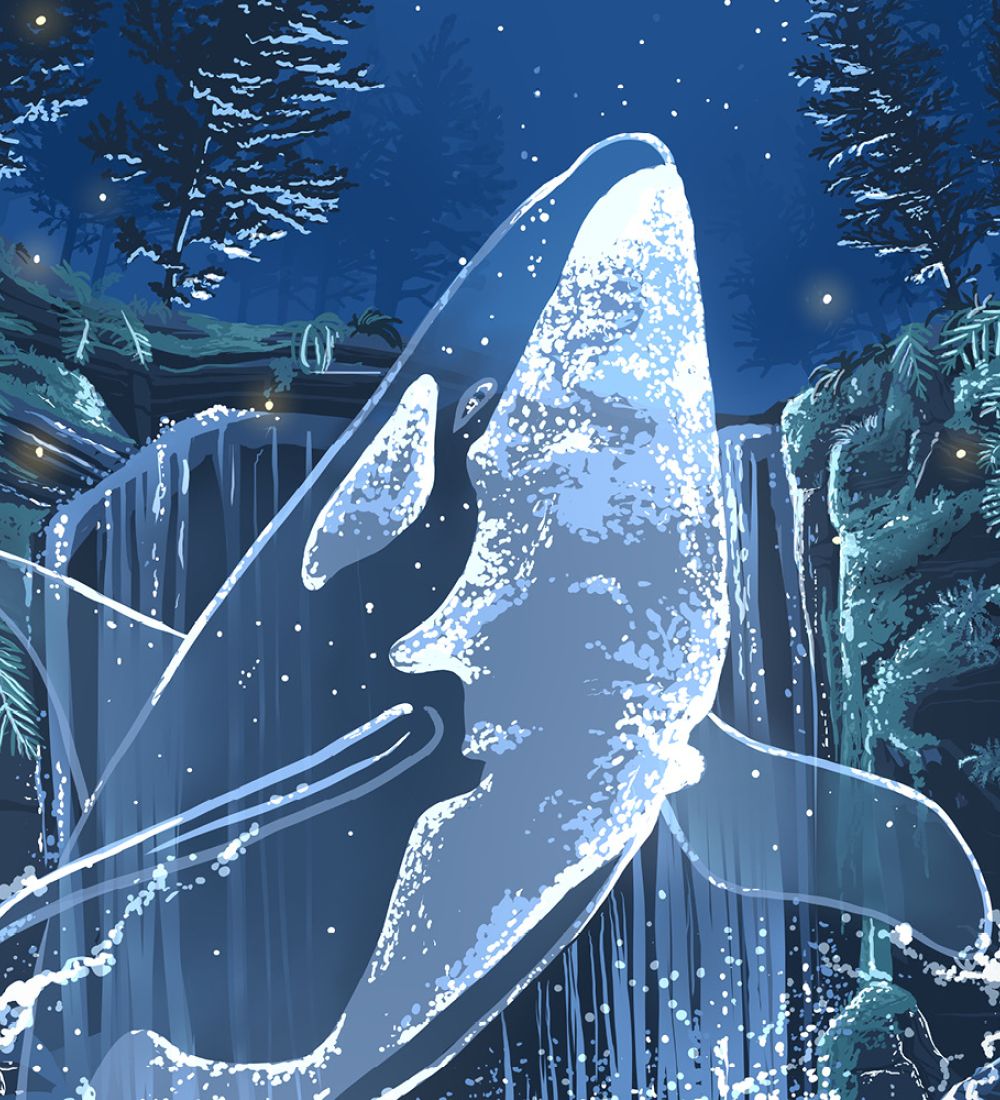 Geisterwal Illustration
